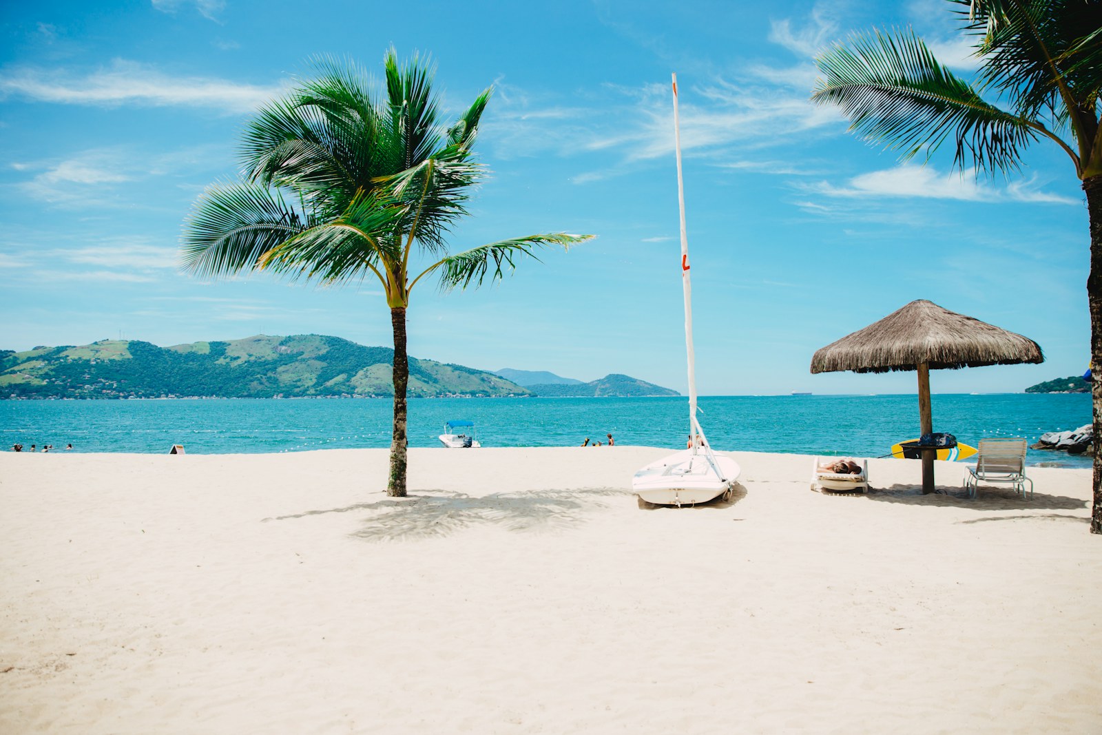 Lounge chairs under palms