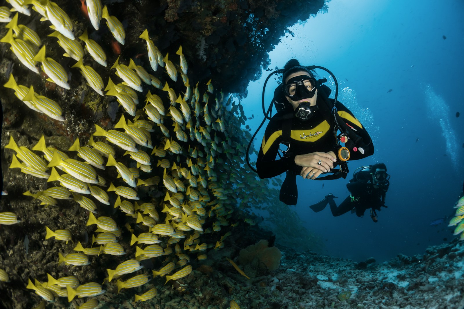 Underwater reef scene